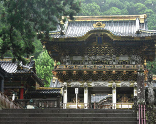 77F81F59-F0BF-48E6-AF7E-BB9276D544F9