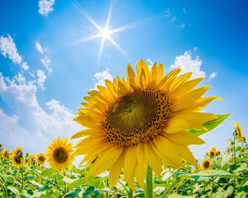 0CF8A2F0-F475-4B99-86F0-9214A64F32E6